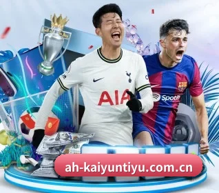 五大服务分区,信息按项目分类（kaiyun）